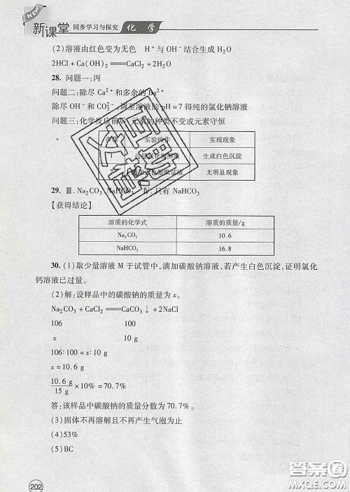 青岛出版社2020春新课堂同步学习与探究九年级化学下册答案