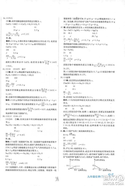 北京教育出版社2020新目标检测同步单元测试卷九年级化学下册人教版答案