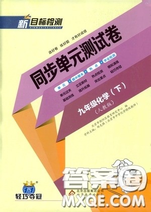 北京教育出版社2020新目标检测同步单元测试卷九年级化学下册人教版答案 北京教育出版社2020新目标检测同步单元测试卷九年级化学下册人教版答案