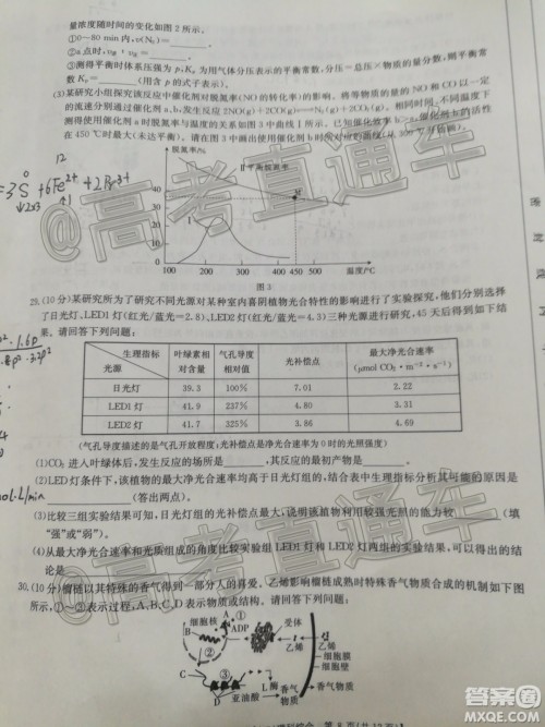 湛江市2020年普通高考测试二理科综合试题及答案