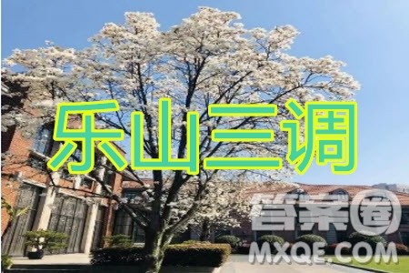 乐山市高中2020届第三次调查研究考试语文试题及答案