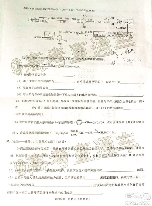 西南名校联盟2020届3+3+3高考备考诊断性联考卷二理科综合试题及答案 西南名校联盟2020届3+3+3高考备考诊断性联考卷二理科综合试题及答案