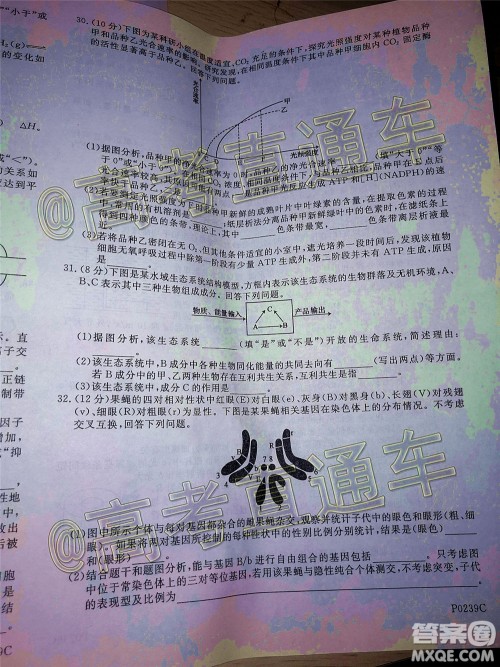 2020年齐齐哈尔二模理科综合试题及答案 2020年齐齐哈尔二模理科综合试题及答案