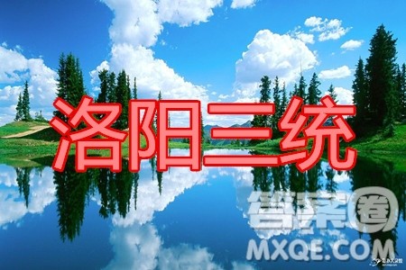 洛阳市2019-2020学年高三年级第三次统一考试文科数学试题及答案 洛阳市2019-2020学年高三年级第三次统一考试文科数学试题及答案