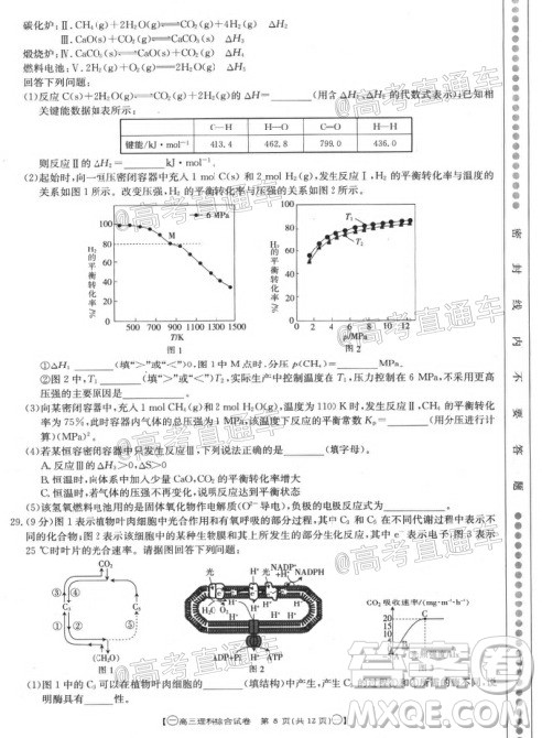 2020年金太阳全国5月百万联考全国一卷理科综合试题及答案