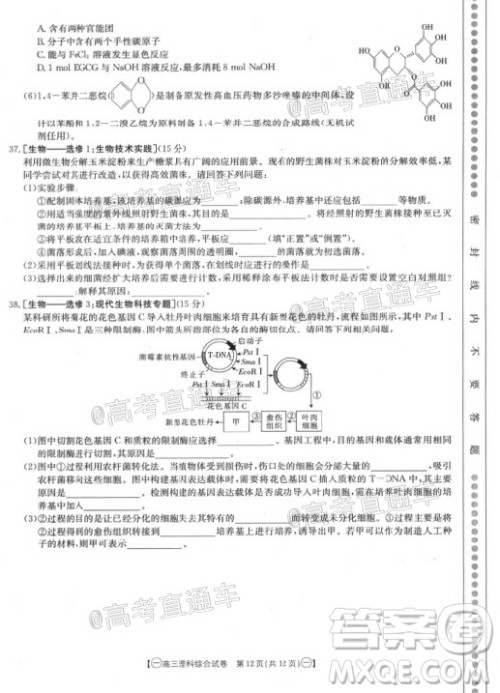 2020年金太阳全国5月百万联考全国一卷理科综合试题及答案 2020年金太阳全国5月百万联考全国一卷理科综合试题及答案