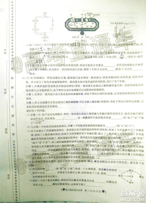 2020年金太阳全国5月百万联考全国二卷理科综试题及答案 2020年金太阳全国5月百万联考全国二卷理科综试题及答案