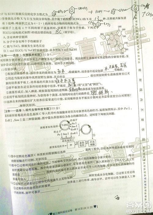 2020年金太阳全国5月百万联考全国二卷理科综试题及答案 2020年金太阳全国5月百万联考全国二卷理科综试题及答案