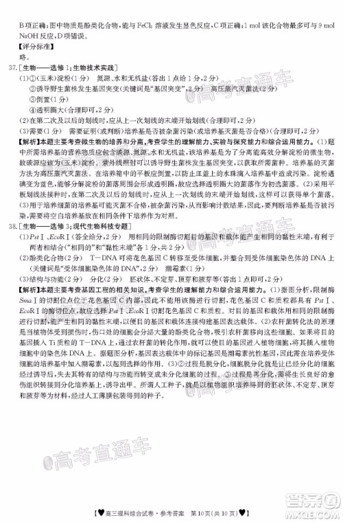 2020年金太阳全国5月百万联考全国二卷理科综试题及答案 2020年金太阳全国5月百万联考全国二卷理科综试题及答案