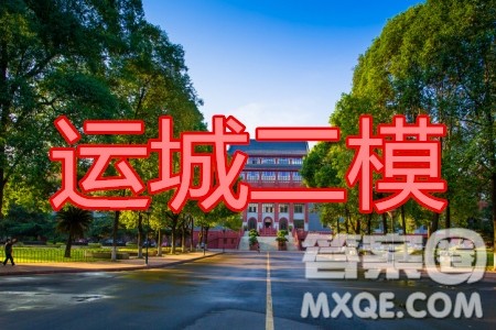 2020年运城二模文科数学试题及答案