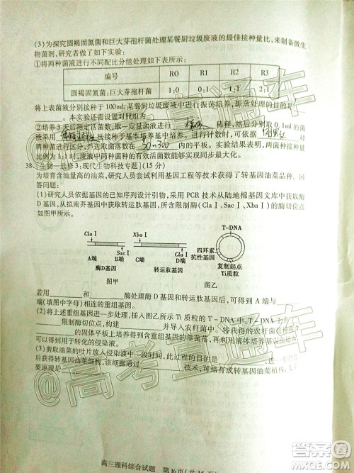 2020年运城二模理科综合试题及答案