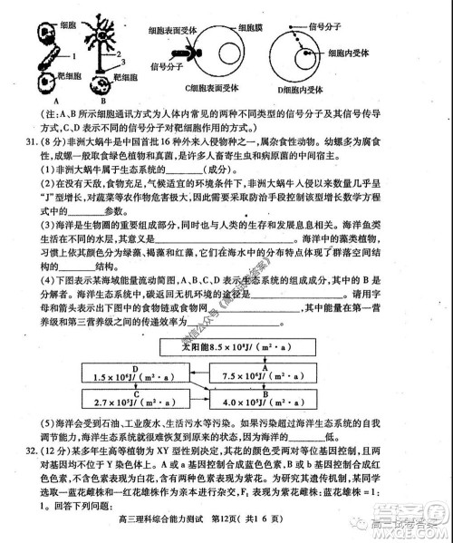 2020年河南省六市高三第二次联考理科综合试题及答案