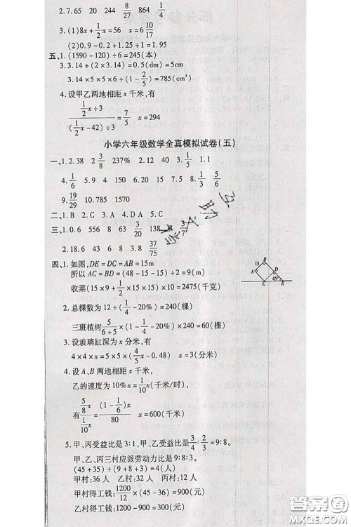 中州古籍出版社2020春全优考卷六年级数学下册北师版答案