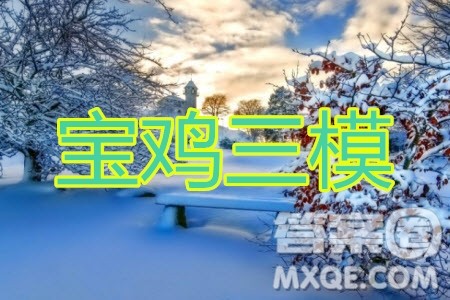 2020年宝鸡市高考模拟检测三理科数学试题及答案