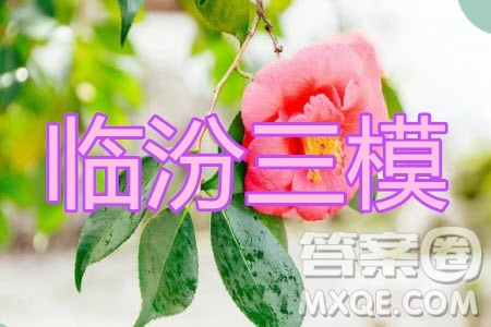 临汾市2020年高考考前适应性训练考试三理科综合试题及答案