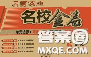 2020云南本土名校金卷五年级语文下册人教版答案 2020云南本土名校金卷五年级语文下册人教版答案