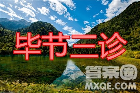 毕节市2020届高三年级诊断性考试三理科数学试题及答案