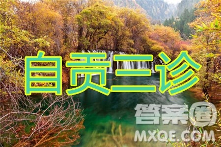 自贡市普高2020届第三次诊断性考试文科综合试题及答案