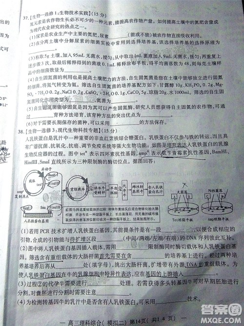 2020年南昌二模理科综合试题及答案