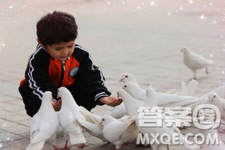 生活中的美作文600字 关于生活中的美作文600字 生活中的美作文600字 关于生活中的美作文600字