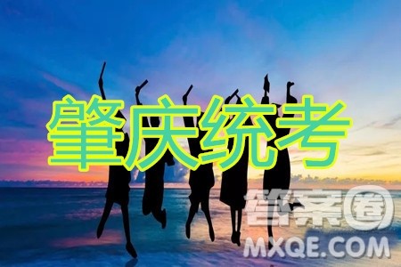 肇庆2019-2020学年高考质量监测考试高三理科数学试题及答案