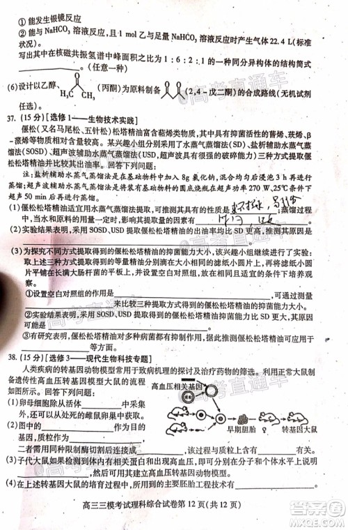 内江市高中2020届第三次模拟考试理科综合试题及答案