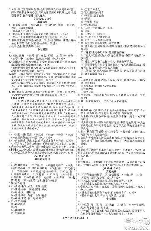 2020木牍教育安徽中考总复习名师A计划强化练习册语文答案