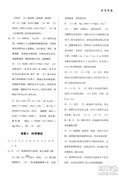 辽海出版社2020辽海备考中考总复习化学答案