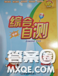 湖南教育出版社2020春综合自测六年级数学下册苏教版答案