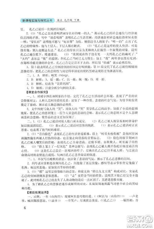 四川教育出版社2020新课程实践与探究丛书九年级语文下册人教版答案