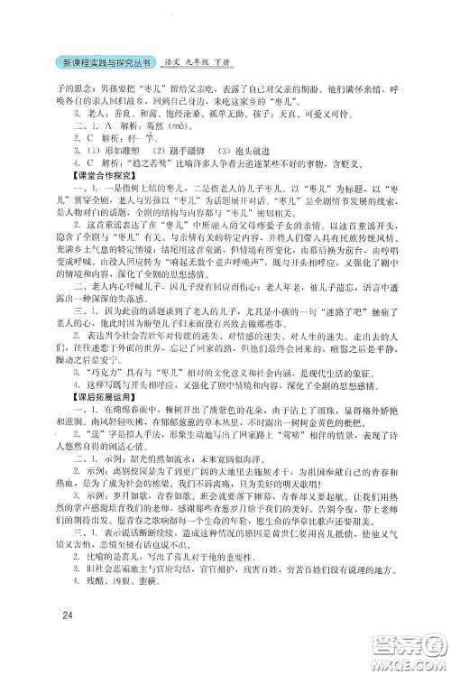 四川教育出版社2020新课程实践与探究丛书九年级语文下册人教版答案