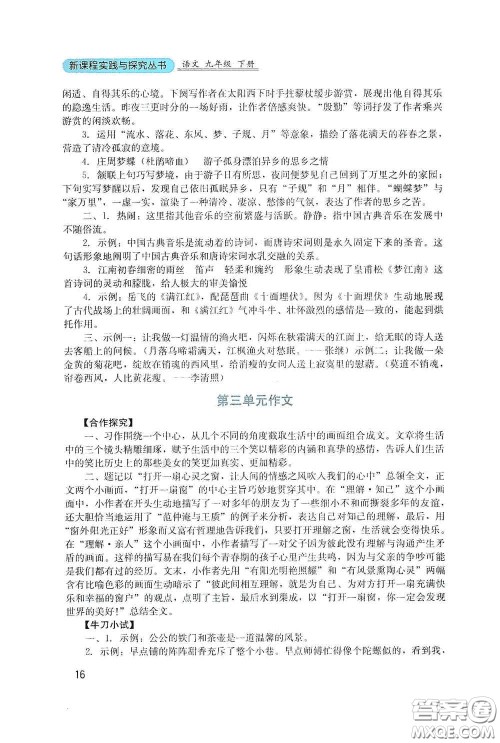 四川教育出版社2020新课程实践与探究丛书九年级语文下册人教版答案