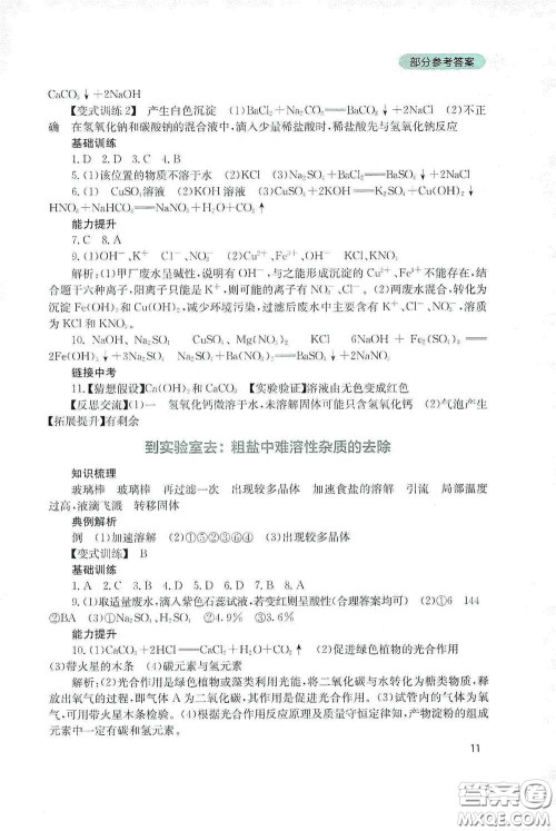 四川教育出版社2020新课程实践与探究丛书九年级化学下册山东教育版答案