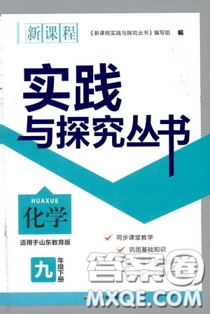 四川教育出版社2020新课程实践与探究丛书九年级化学下册山东教育版答案