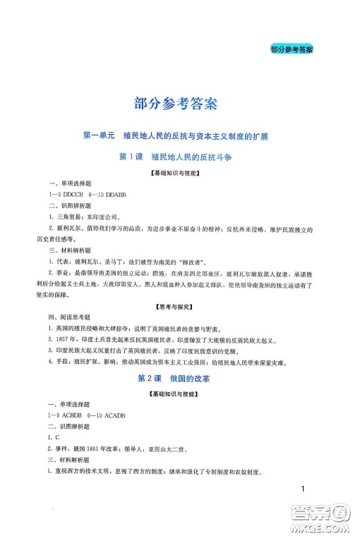 四川教育出版社2020新课程实践与探究丛书九年级历史下册人教版答案