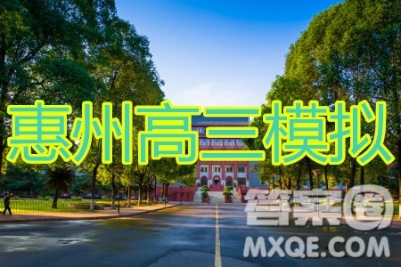 惠州市2020届高三模拟考试文科数学试题及答案