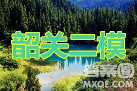 2020年韶关二模高三理科数学试题及答案 2020年韶关二模高三理科数学试题及答案