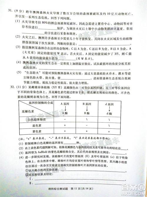 2020年韶关二模高三理科综合试题及答案