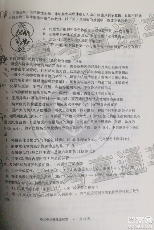 2020年哈三中三模高三理科综合试题及答案 2020年哈三中三模高三理科综合试题及答案