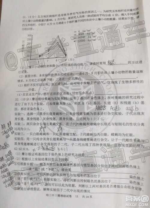 2020年哈三中三模高三理科综合试题及答案 2020年哈三中三模高三理科综合试题及答案