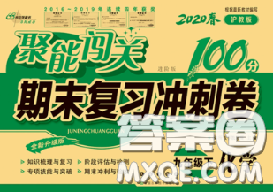 2020春聚能闯关100分期末复习冲刺卷九年级化学下册沪教版答案