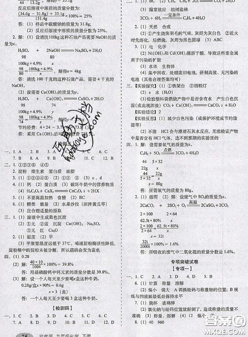 2020春聚能闯关100分期末复习冲刺卷九年级化学下册沪教版答案