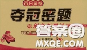 延边人民出版社2020百分金卷夺冠密题创变新测试六年级数学下册人教版答案 延边人民出版社2020百分金卷夺冠密题创变新测试六年级数学下册人教版答案