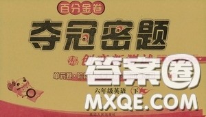 延边人民出版社2020百分金卷夺冠密题创变新测试六年级英语下册人教版答案