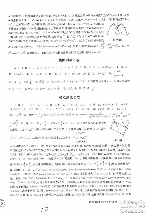 东南大学出版社2020江苏密卷九年级数学下册江苏版答案