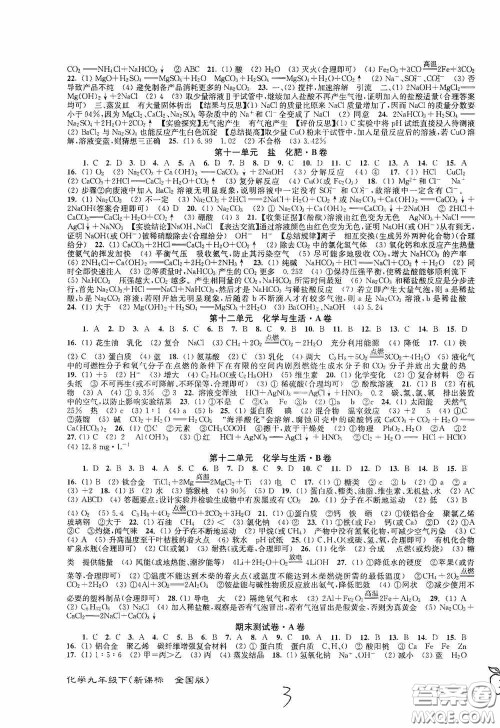 东南大学出版社2020江苏密卷九年级化学下册全国版答案