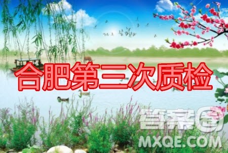 合肥市2020高三第三次教学质量检测语文试题及答案