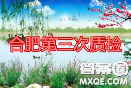 合肥市2020高三第三次教学质量检测英语试题及答案