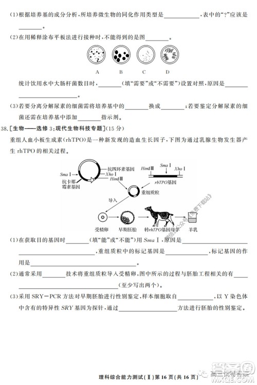 衡中同卷押题卷二2020年普通高等学校招生全国统一考试模拟试题理科综合试题及答案