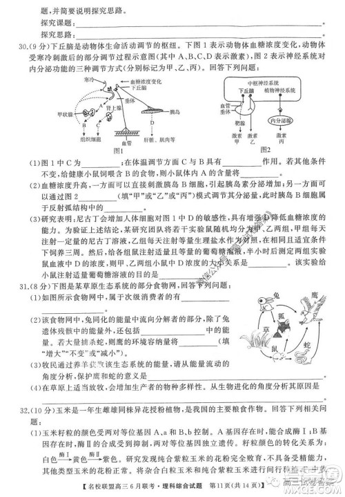 河南省名校联盟2020届高三下学期6月联考理科综合试题及答案